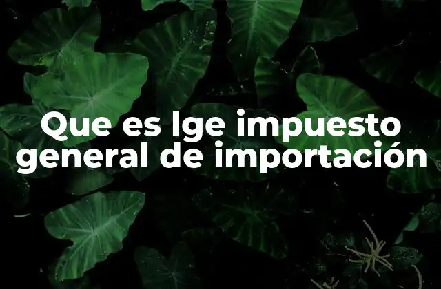 Que es Lge Impuesto General de Importación