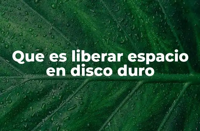 Que es Liberar Espacio en Disco Duro