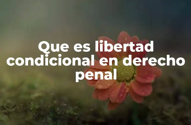 Que es Libertad Condicional en Derecho Penal