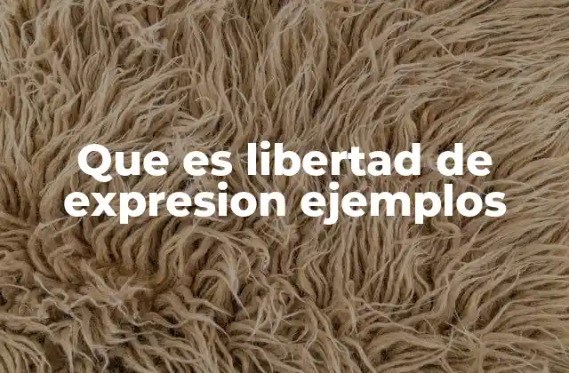 Que es Libertad de Expresion Ejemplos 2 La importancia de la libertad de expresión en la sociedad