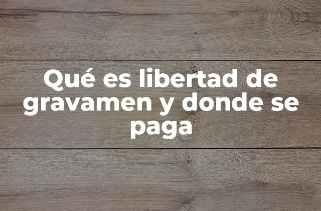Qué es Libertad de Gravamen y Donde Se Paga 2 Cómo se aplica la libertad de gravamen en el marco legal