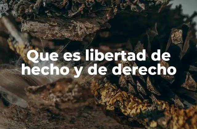 Que es Libertad de Hecho y de Derecho
