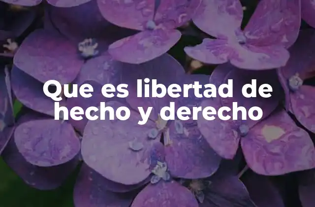 Que es Libertad de Hecho y Derecho