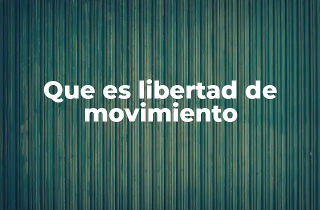 Que es Libertad de Movimiento