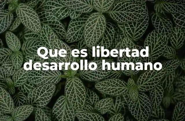 Que es Libertad Desarrollo Humano