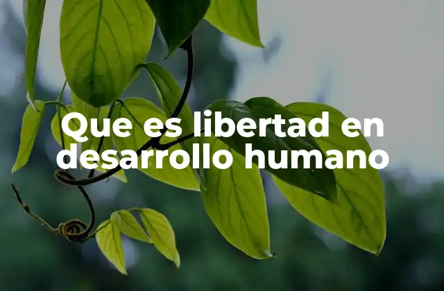 Que es Libertad en Desarrollo Humano
