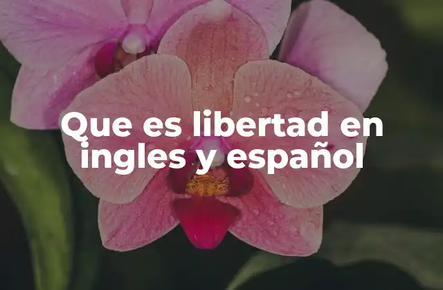 Que es Libertad en Ingles y Español