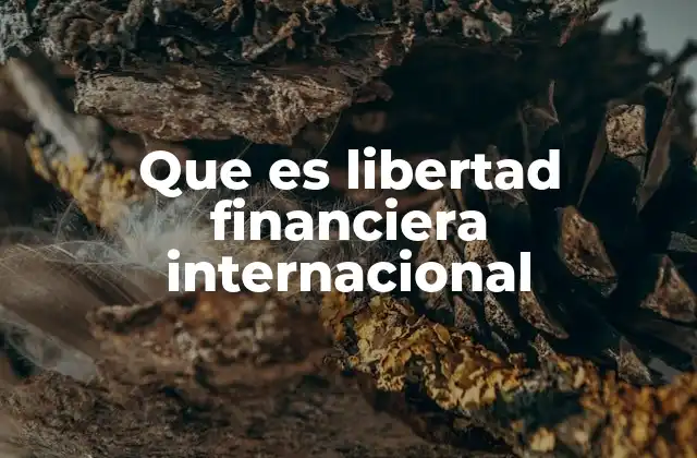 Que es Libertad Financiera Internacional