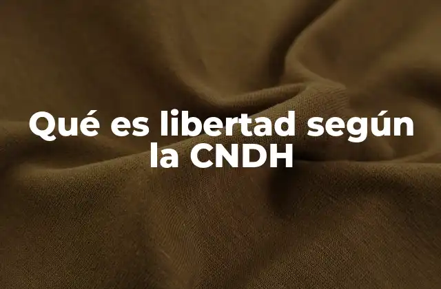 Qué es Libertad según la Cndh