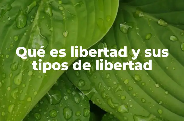 Qué es Libertad y Sus Tipos de Libertad