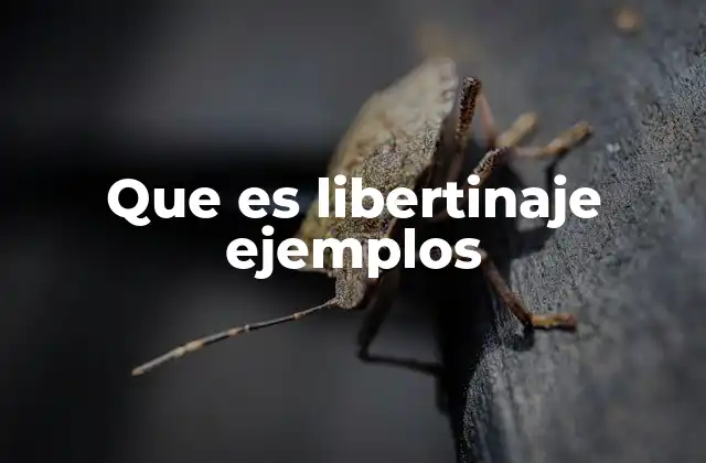 El libertinaje en el contexto social