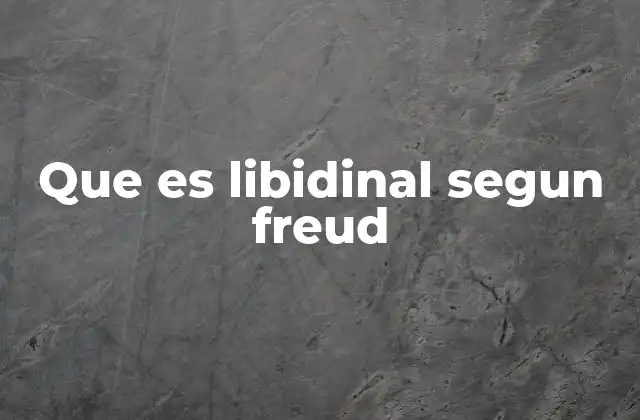 Que es Libidinal Segun Freud