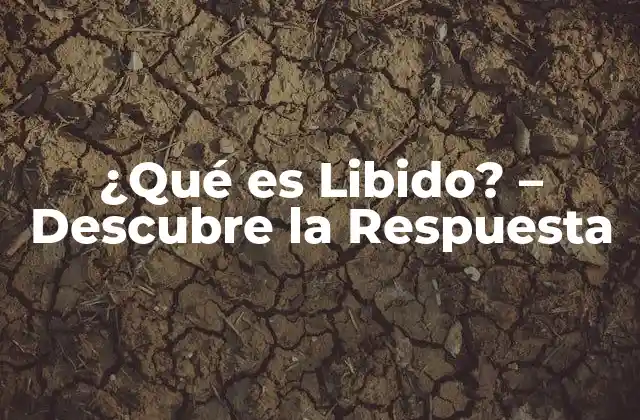 Definición de Libido - ¿Qué es exactamente?