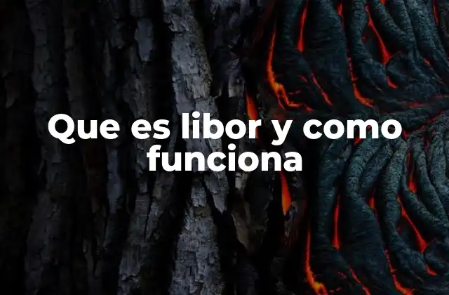 Que es Libor y como Funciona