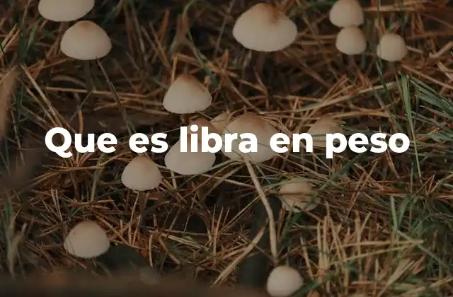 Que es Libra en Peso