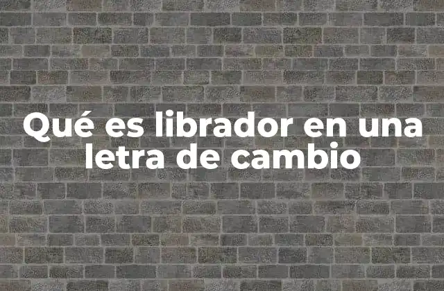 Qué es Librador en una Letra de Cambio