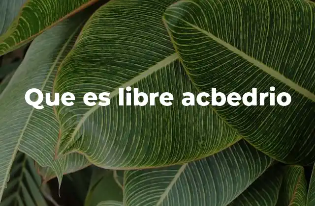 Que es Libre Acbedrio 2 El debate entre determinismo y libre albedrío