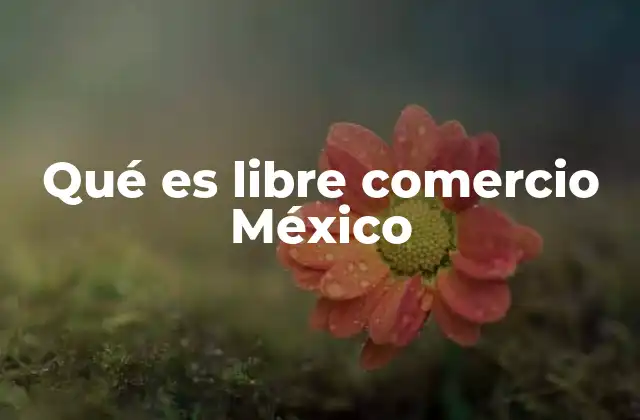 Qué es Libre Comercio México