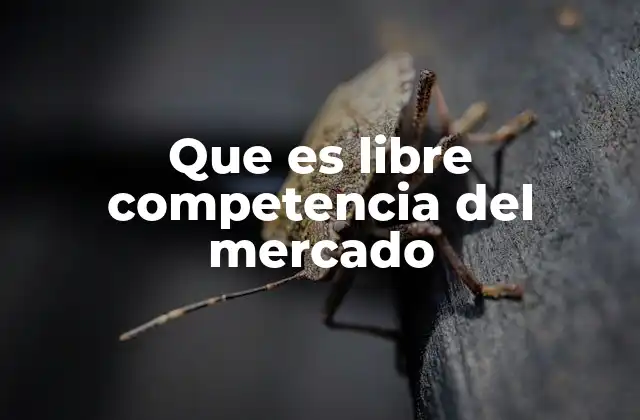 Que es Libre Competencia Del Mercado