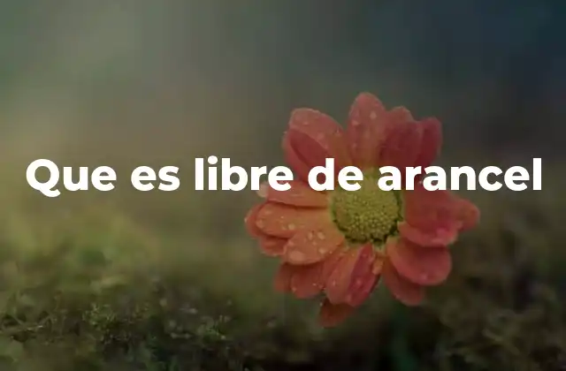 Cómo se establecen las condiciones de libre de arancel