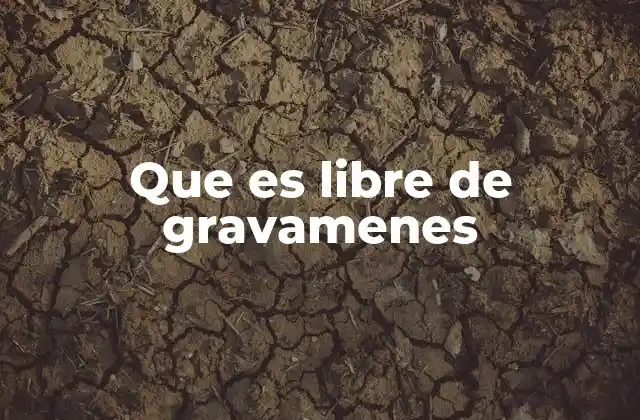 Que es Libre de Gravamenes