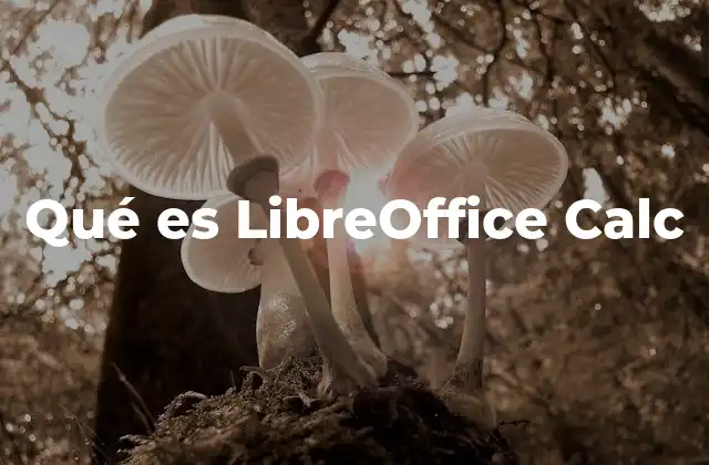 Qué es Libreoffice Calc