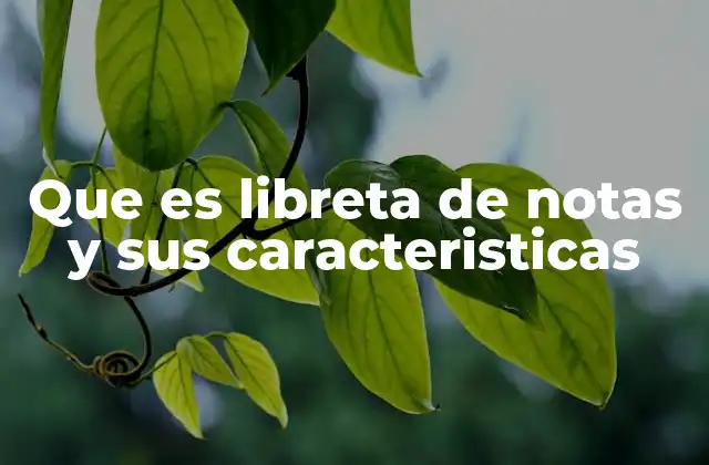 Que es Libreta de Notas y Sus Caracteristicas