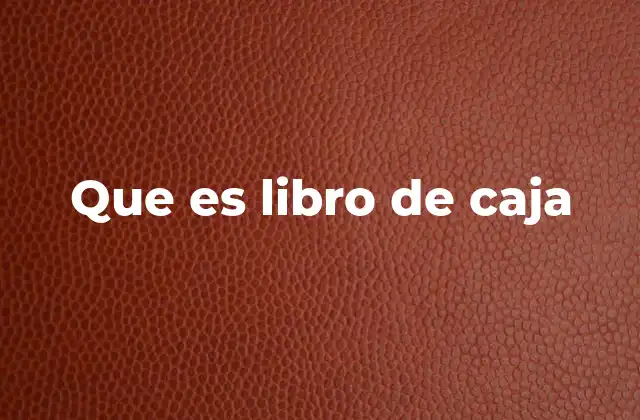 Que es Libro de Caja
