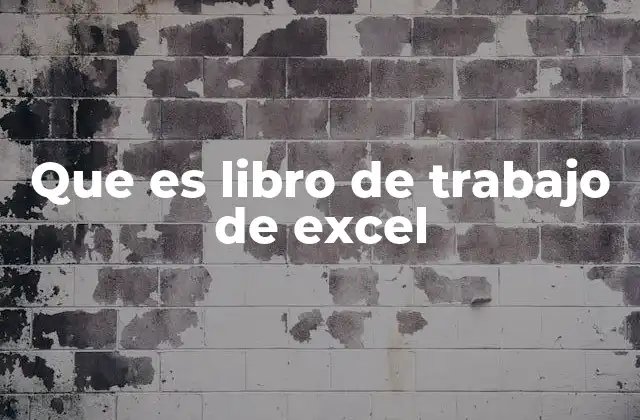 Que es Libro de Trabajo de Excel