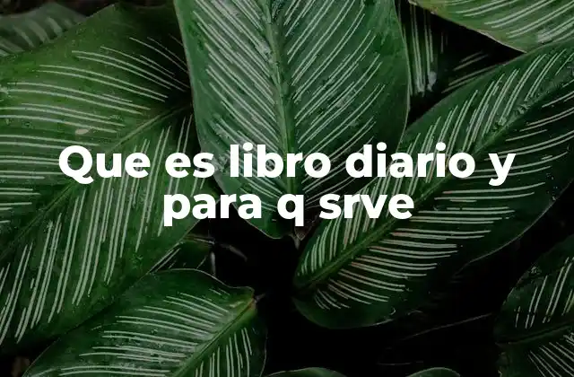 Que es Libro Diario y para Q Srve