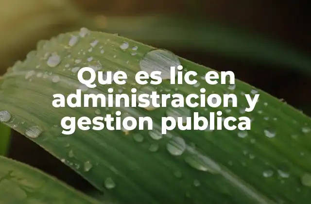Que es Lic en Administracion y Gestion Publica