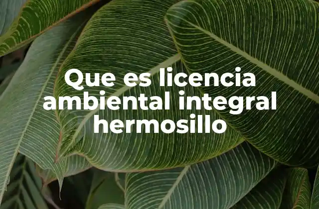 Que es Licencia Ambiental Integral Hermosillo