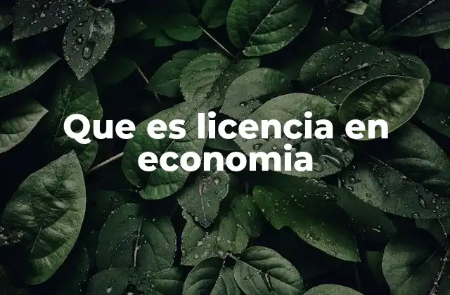 Que es Licencia en Economia