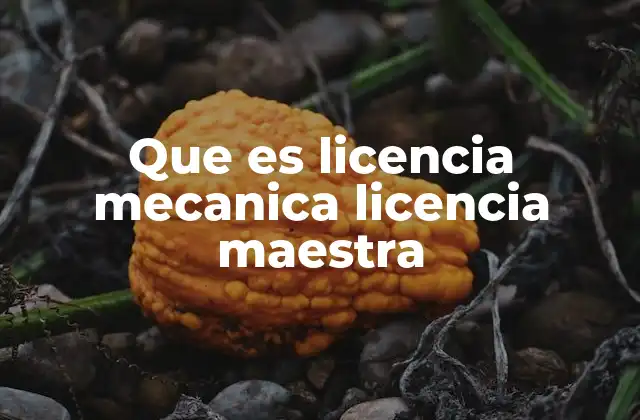 Que es Licencia Mecanica Licencia Maestra