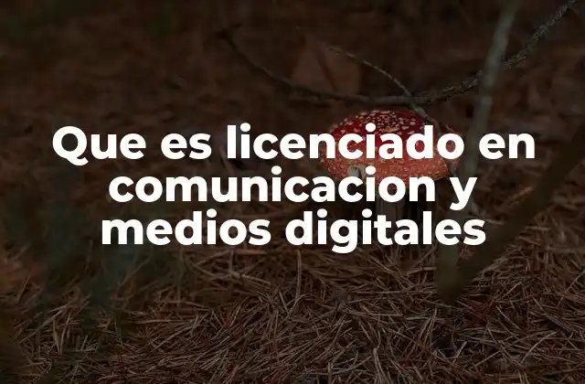 Que es Licenciado en Comunicacion y Medios Digitales