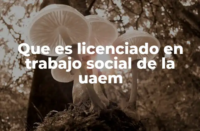 Que es Licenciado en Trabajo Social de la Uaem