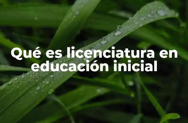 Qué es Licenciatura en Educación Inicial