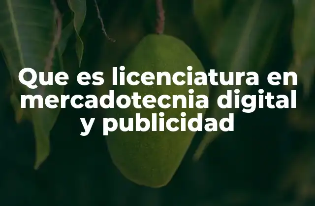 Que es Licenciatura en Mercadotecnia Digital y Publicidad