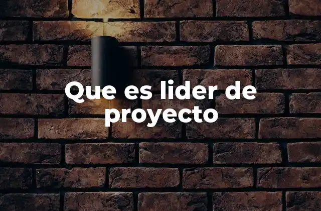Que es Lider de Proyecto