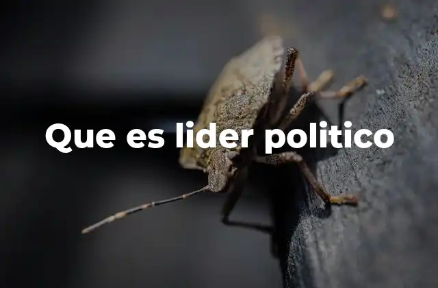 Que es Lider Politico