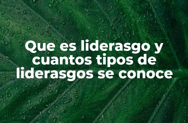Que es Liderasgo y Cuantos Tipos de Liderasgos Se Conoce