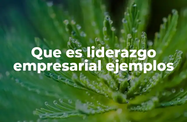 Características del liderazgo empresarial