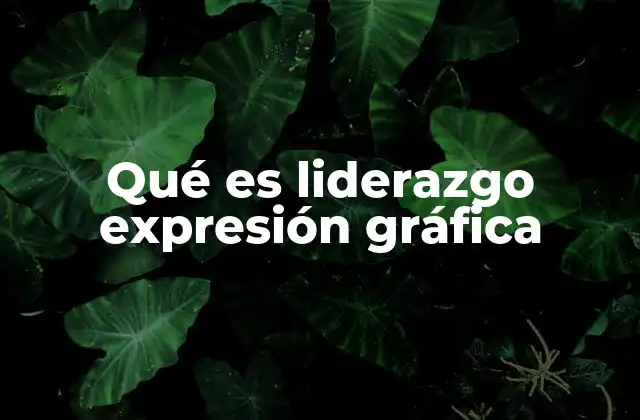 Qué es Liderazgo Expresión Gráfica