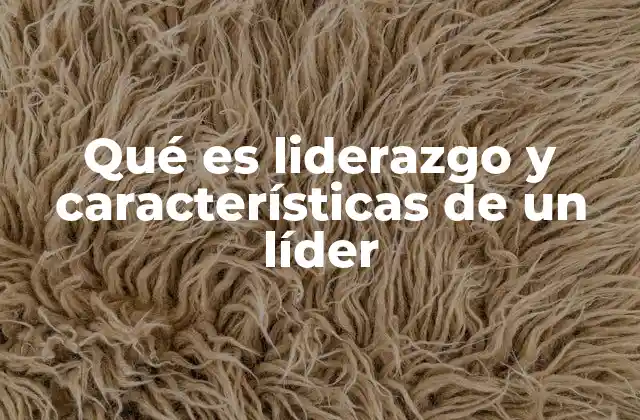 Qué es Liderazgo y Características de un Líder