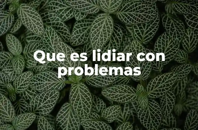 Que es Lidiar con Problemas
