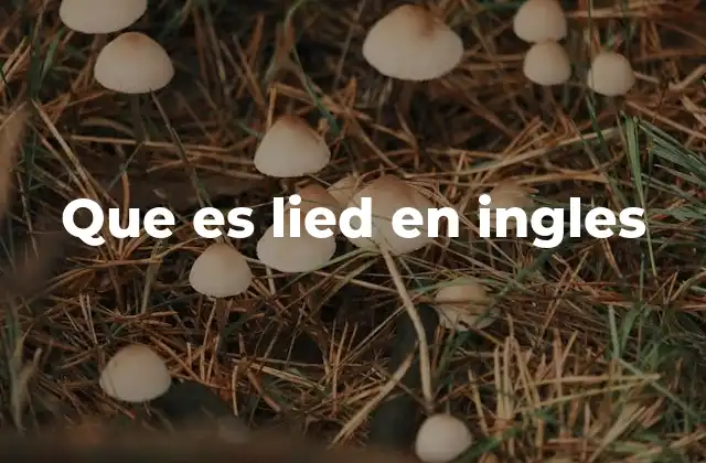 Que es Lied en Ingles