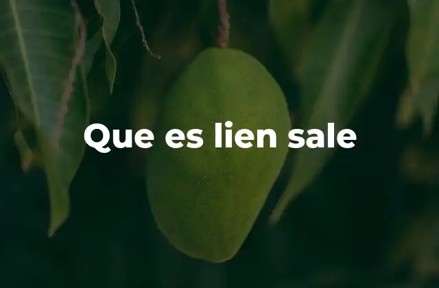Que es Lien Sale