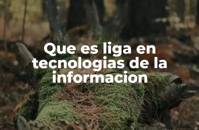 Que es Liga en Tecnologias de la Informacion