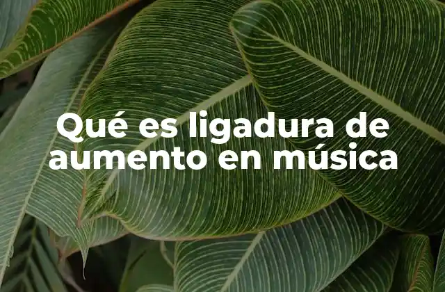 Qué es Ligadura de Aumento en Música