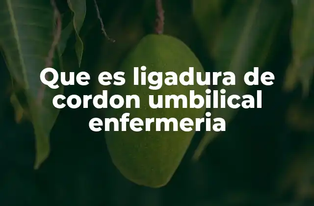 Que es Ligadura de Cordon Umbilical Enfermeria 2 El rol de la enfermería en el manejo del cordón umbilical